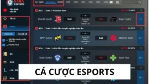 Cá cược Esports