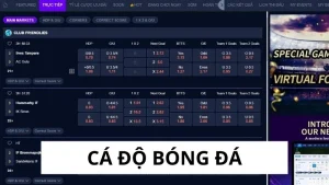 Cá độ bóng đá