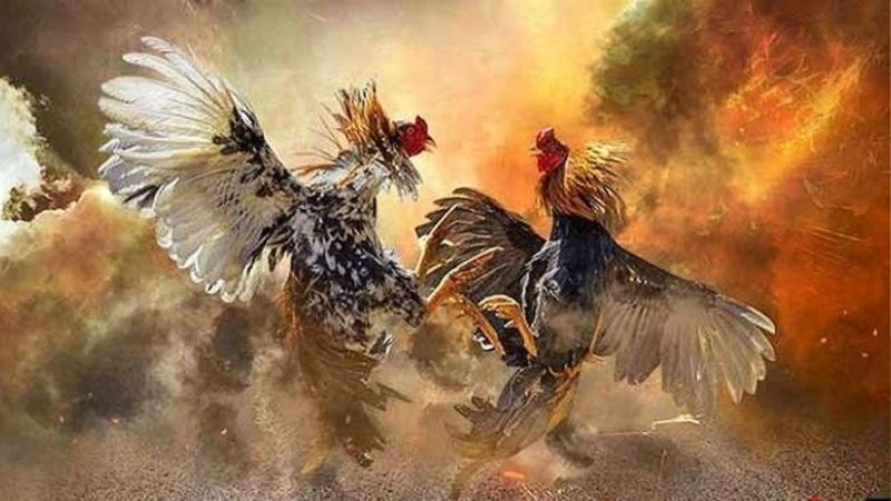 Phân tích lịch sử đối đầu và chiến tích gần nhất Phân tích lịch sử đối đầu và chiến tích gần nhất