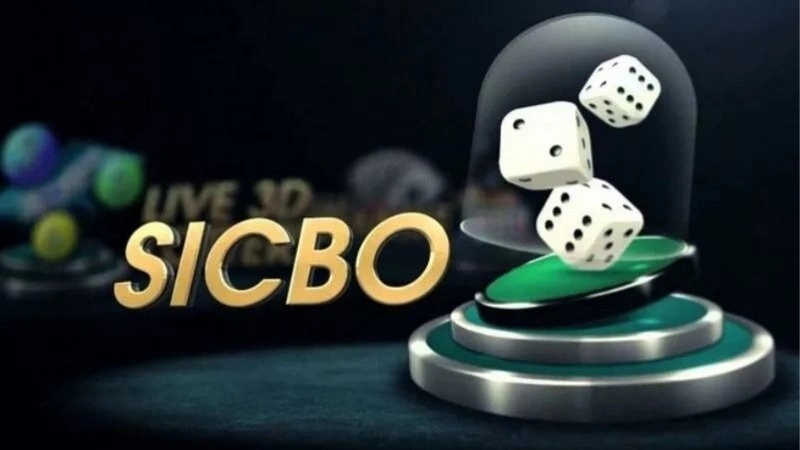 Tìm hiểu về game sicbo và sức hút của nó Tìm hiểu về game sicbo và sức hút của nó