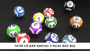 Nuôi lô kép khung 3 ngày